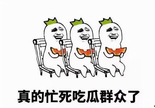 吃瓜杀人,揭秘网络暴力的暗流涌动  第3张