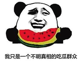 内娱吃瓜群众瓜哥是谁啊,内娱吃瓜群众的神秘代表  第3张